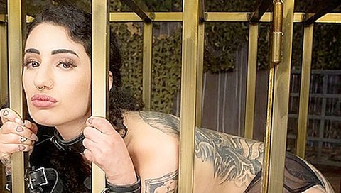 Arabelle Raphael - Step daddy Come And Torture Me