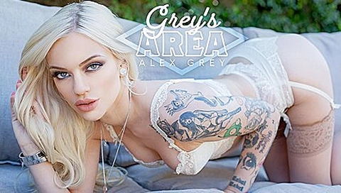 Greys Area With Alex Grey